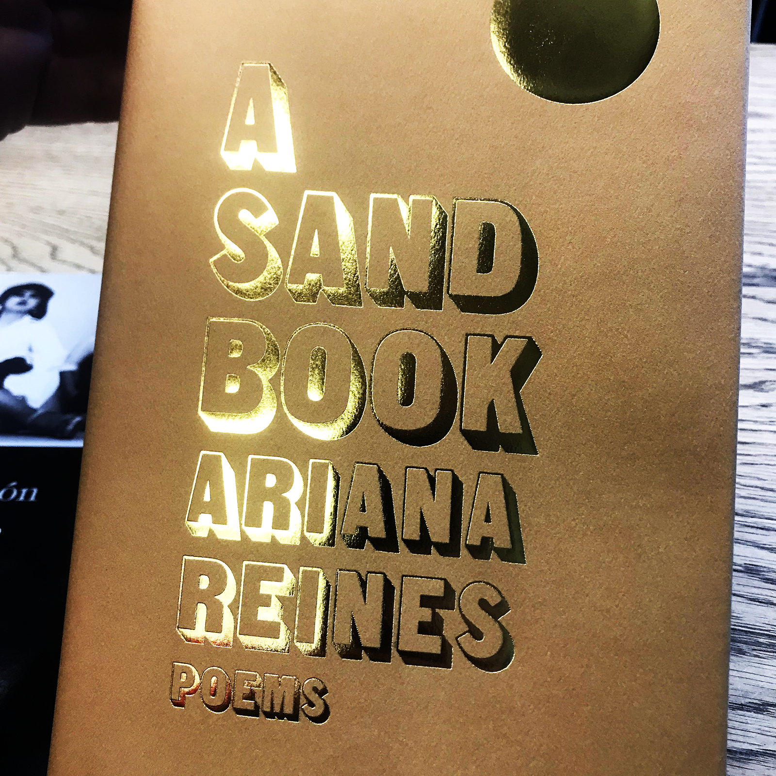 Poetry Review – A Sand Book Ariana Reines Poems 0/100